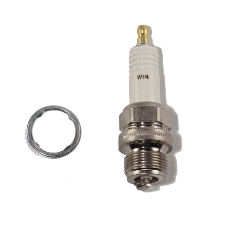 Spark plug and ring