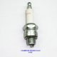 #H10C, Champion Spark Plug (14mm)