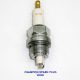 #W89D, Champion Spark Plug (7/8”, Long Electrode)