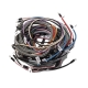 International W450 Gas Late Complete Wire Harness (1-Wire Alternator)