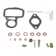 Zenith Basic Carburetor Repair Ki